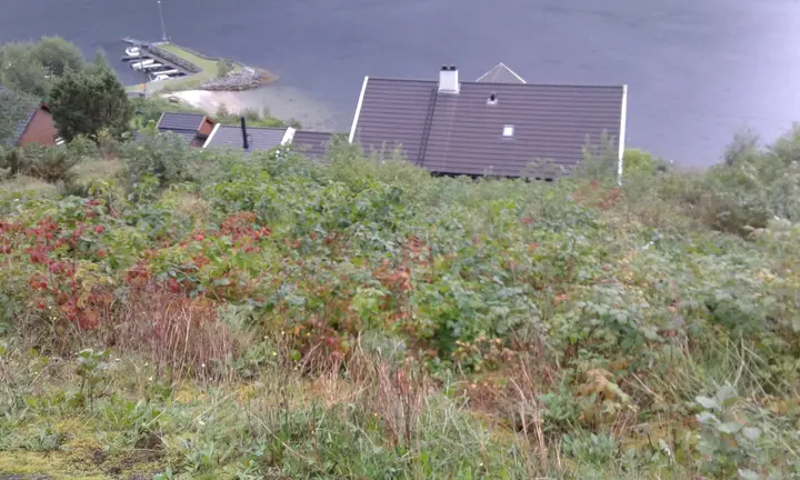 Hustomt Søreide, bilete 2 av 5